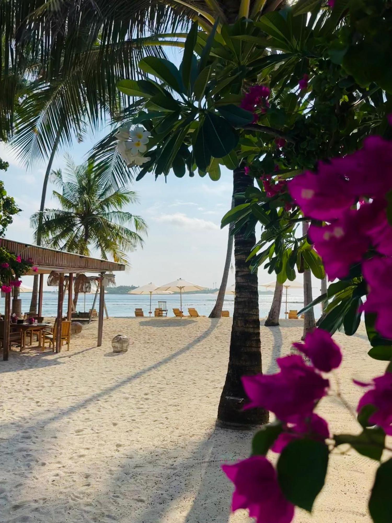 Met House Otel Thulusdhoo Dış mekan fotoğraf