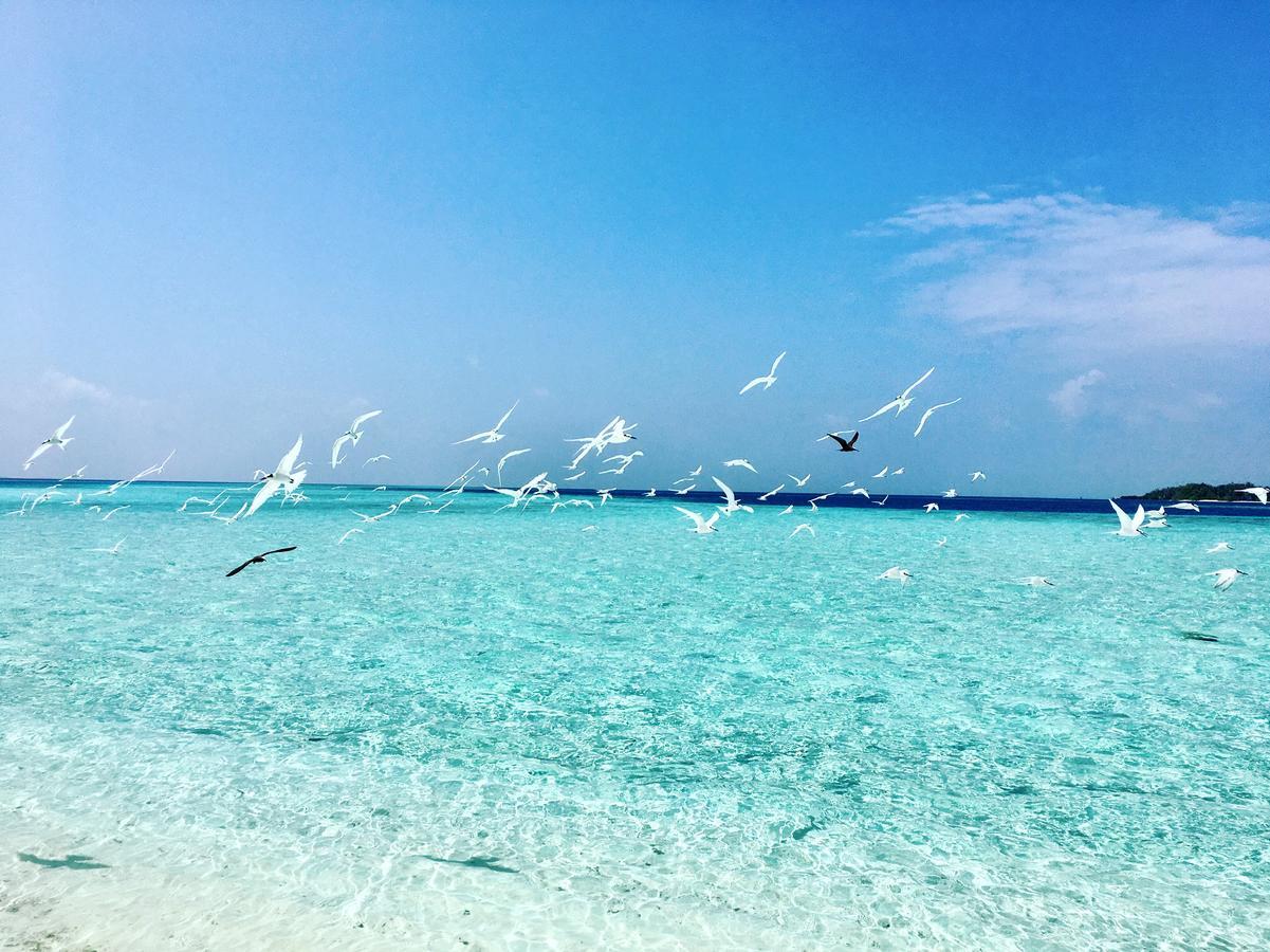 Met House Otel Thulusdhoo Dış mekan fotoğraf